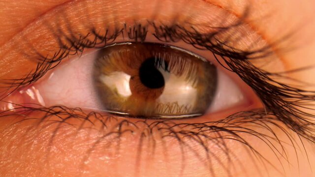 Woman almond-shaped eye view. Beautiful eye crevice with dark lashes and hazel iris reflecting bright light closeup laowa lens shot