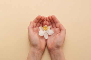 a white orchid flower in children's hands on a beige background
