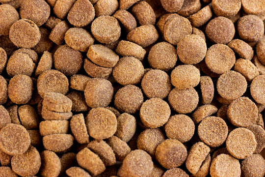 Top View Of Brown Kibble Pieces Of Dry Dog Food As A Textured Pattern.