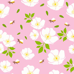 Seamless pattern of chamomile, daisy, with fly bee on a pink background.Wild wasps in a flower meadow.