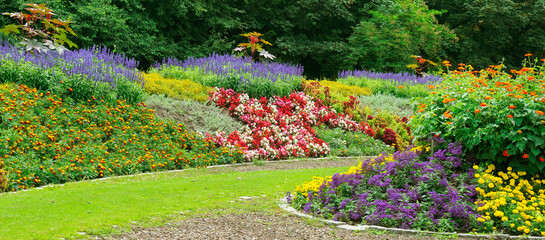 Luxurious flowerbed in the summer city garden. Wide photo. - obrazy, fototapety, plakaty