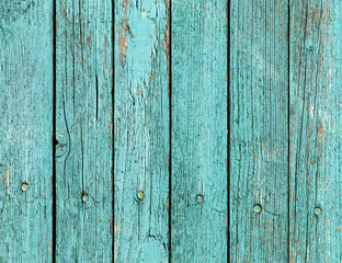 Fototapeta premium Old green wooden wall with cracked paint, background texture.