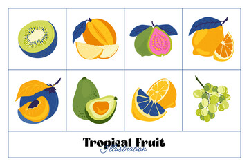 Tropical fruit and graphic design elements collection. Ingredients color cliparts. Sketch style smoothie or juice ingredients.