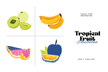 Tropical fruit and graphic design elements collection. Ingredients color cliparts. Sketch style smoothie or juice ingredients.