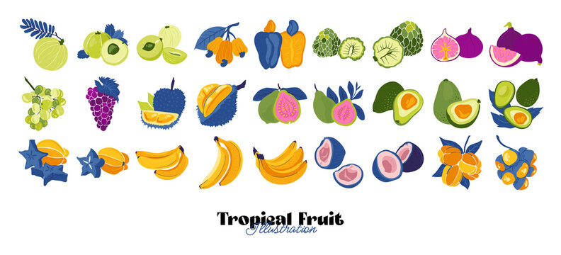 Tropical fruit and graphic design elements collection. Ingredients color cliparts. Sketch style smoothie or juice ingredients.