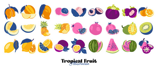 Tropical fruit and graphic design elements collection. Ingredients color cliparts. Sketch style smoothie or juice ingredients.