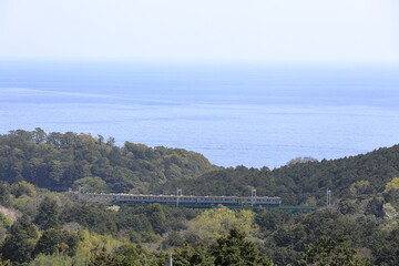 伊豆の海沿いを走る列車