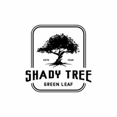 Obraz premium shady tree logo vector on white background