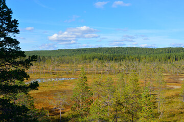 Obraz premium Hamra Nationalpark