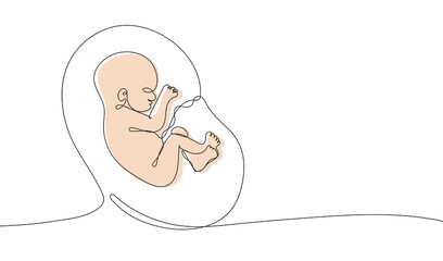 Continuous one line drawing of baby in womb. Suitable for a prenatal or reproductive clinic, pregnancy brochure, surrogacy agency. Vector illustration - obrazy, fototapety, plakaty