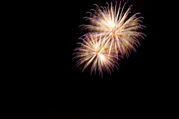 Fireworks show in the black night sky.