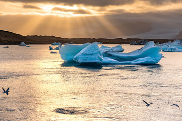 Ice Lagoon. Icebergs in Jokulsarlon glacier lagoon lake at sunset Iceland