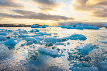 Ice Lagoon. Icebergs in Jokulsarlon glacier lagoon lake at sunset Iceland