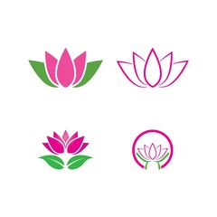 Beauty Vector lotus flowers