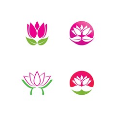 Beauty Vector lotus flowers