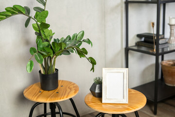 Beautiful home plant zamiokulkas with frame mockup