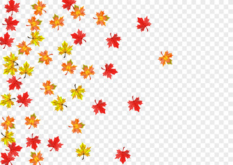 Fototapeta na wymiar Red Foliage Background Transparent Vector. Plant October Card. Green Canadian Leaves. Realistic Leaf Design.