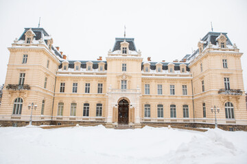 Fototapeta na wymiar pototsky palace architecture covered with snow