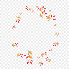 Pink Berries Background Transparent Vector. Herb Decorative Card. Burgundy Leaf Wallpaper. Art Illustration. Foliage Label.