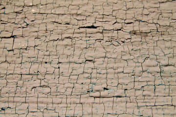 Texture of wood board and old paint.
Beautiful wood texture, cracks, old paint.