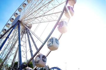 Ferris wheel in an amusement park.
