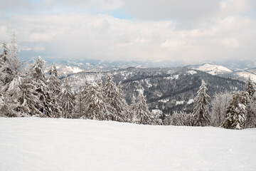 Fototapeta na wymiar view of snowed ukrainian carpathian mountains