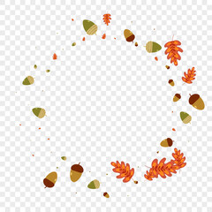 Gold Leaves Background Transparent Vector. Acorn Decor Set. Brown Plant. Symbol Frame. Green Oak November.