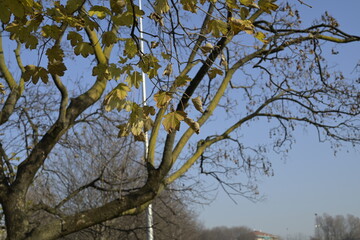 Autunno