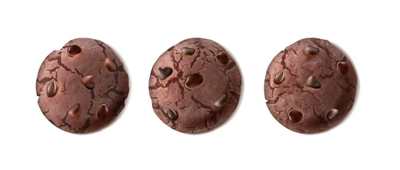 3d realistic vector icon. Chocolate cookies collection in front view.