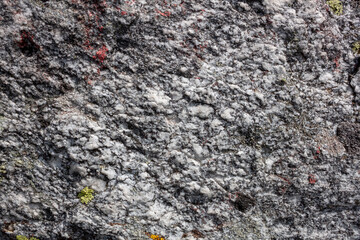black spots of moss on the stone