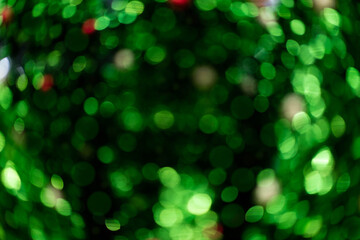 Bokeh green on a black background. Blur and bokeh abstract , vibrant colors and textured. Good wallpapers .Copy space.