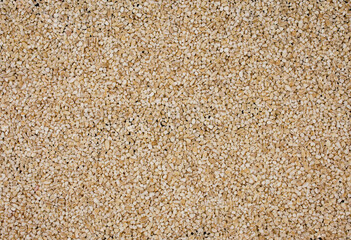 Wheat grains background/texture seen from above.