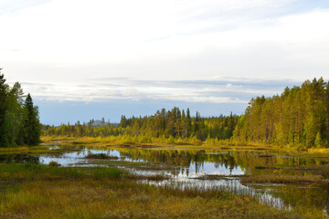 Fototapeta na wymiar Nationalpark Sonfjället in Schweden