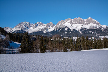 Fototapeta na wymiar Wilder Kaiser in an idyllic winter landscape in Kitzbuehel, Tyrol, Austria