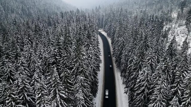 aerial view of snowed winter road in carpathian mountains