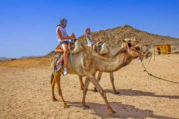 Girls riding camel in the Egyptian desert