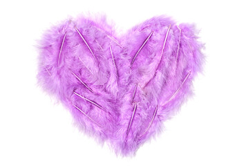 Pastel violet lilac heart made of toned feather isolated on white, Love simbol