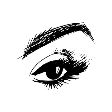 eyelash makeup. eye sketch on white background