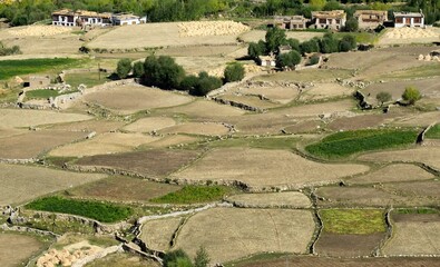 Aerial view of ladakh village landscape, from top of Changla pass, green valley field of agriculture , leh, ladakh, India - obrazy, fototapety, plakaty