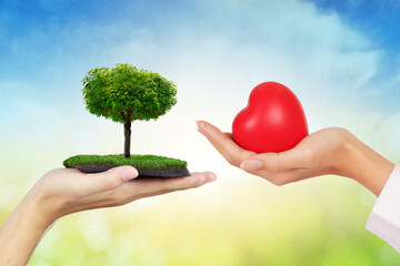 hand holdig tree growing and Hand holding Red Health,loving the environment and protecting nature...