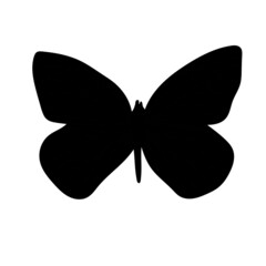 Butterfly silhouette on white background. Simple Butterfly silhouette