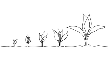 Phase de la vie végétale continue une ligne dessinant une illustration minimaliste à partir de graines et de feuilles
