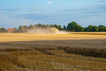 Obraz premium Staubentwicklung bei der Getreideernte mit einem Mähdrescher