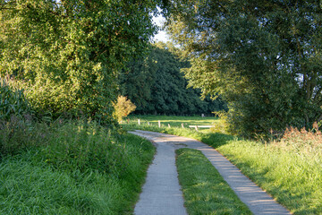 Ein Weg durch die Wiesen in der Umgebung von Lütau