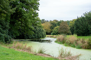 Ein Graben bedeckt mit Entengrütze durch den Schlossgarten Lütetsburg
