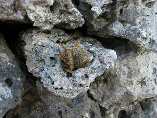 Photos taken from Miyako and Fukuoka, Japan