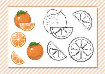 Printable worksheet. Coloring book. Cute cartoon fruit. Vector illustration. Horizontal A4 page Color orange.