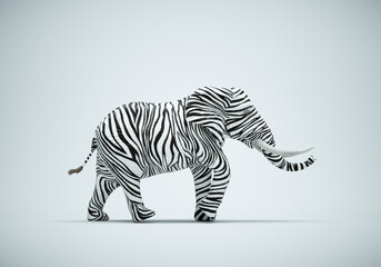Elephant with zebra skin on studio background. Be different and mindset change concept. - obrazy, fototapety, plakaty