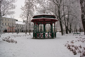 Naklejka premium winter in the park