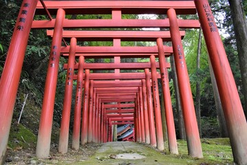 沢山の鳥居